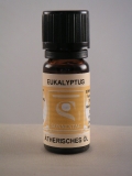 Eukalyptus