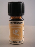 Karottensamen