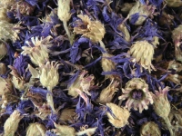 Kornblumen