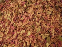Rosenblütenblätter