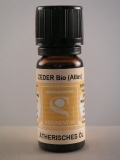 Zeder (Atlas) BIO